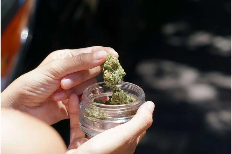 Cannabis use