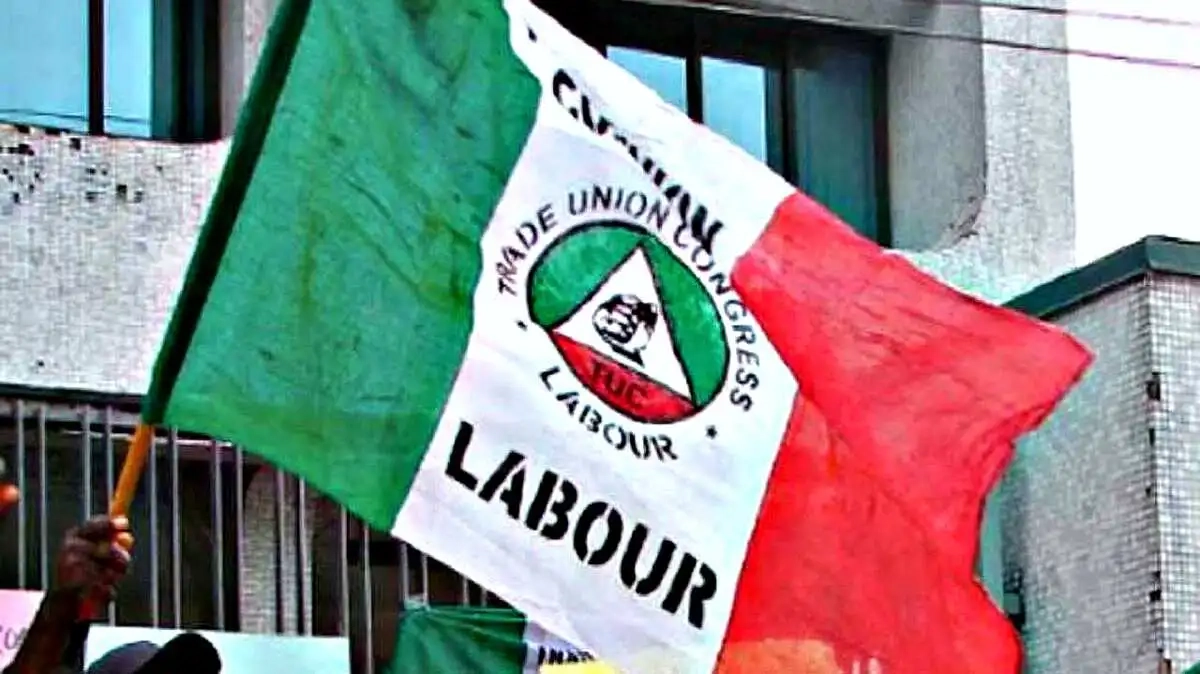 7 Strategies Nigeria's Labour Union Can Employ to Address ...