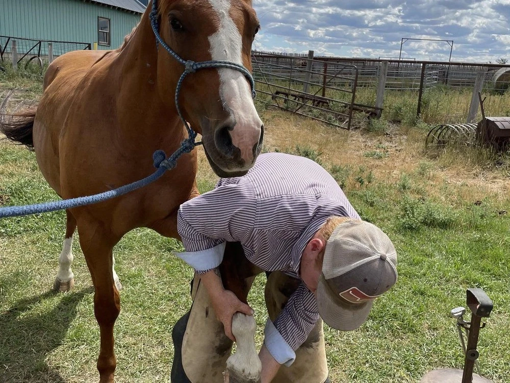 Jesse Lamotte, who resides just west of the Saskatchewan community of Admiral, has built a client base of approximately 125 animals per month in his role as a farrier.