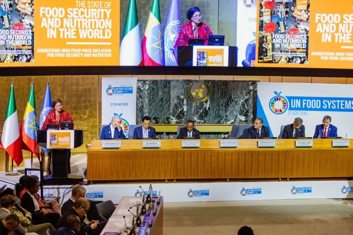 food systems UN summit