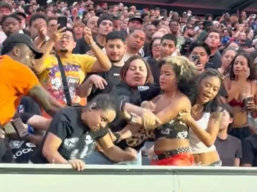 Fans fight in the crowd at WWE SummerSlam.