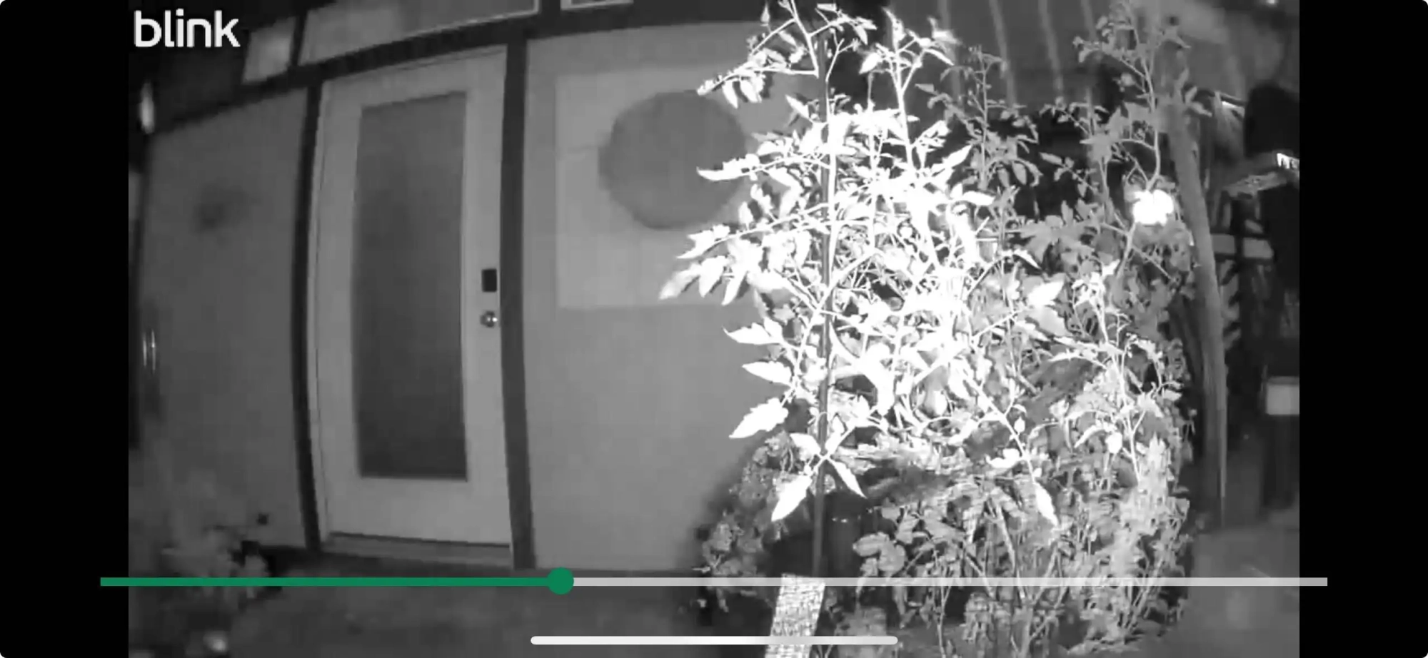 Blink Outdoor 4 black-and-white night vision