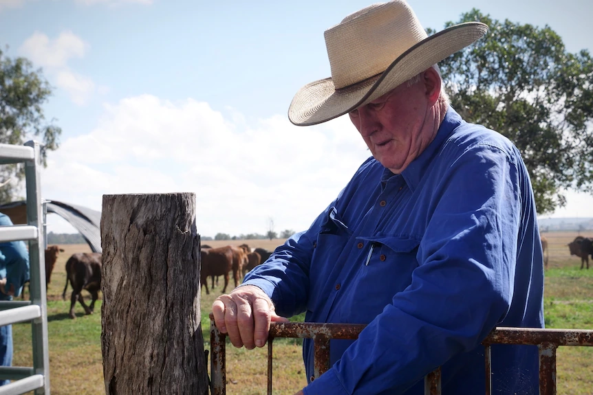 A man wearing a blue shirt and hat opening a gate with cattle in the background