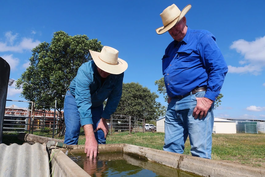 Two men in hats and blue shirts standing near a trough with water in it.