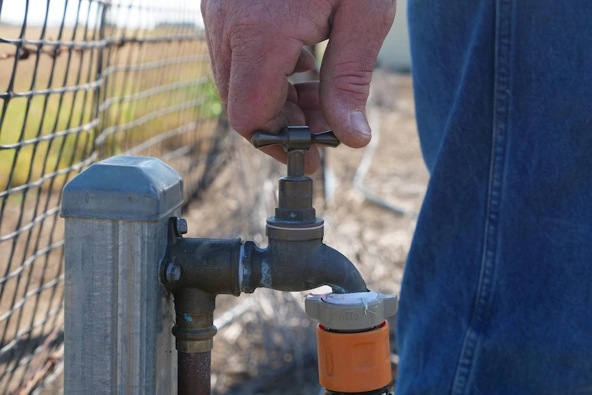 Fingers resting on a tap