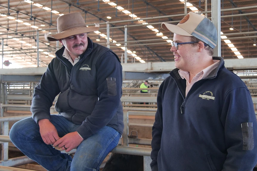 Two people sitting on the rails in the saleyards