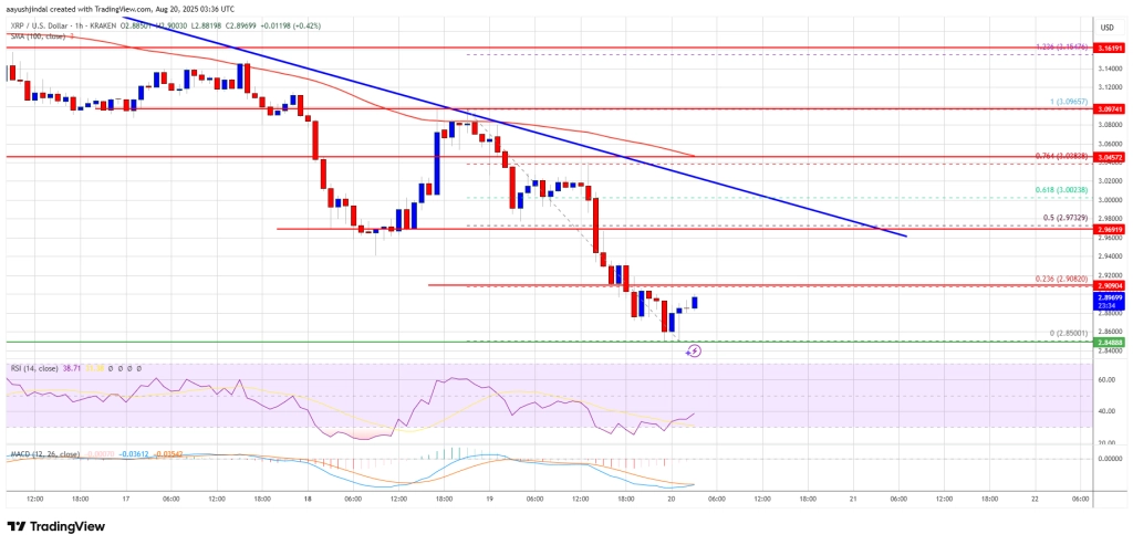 XRP Price