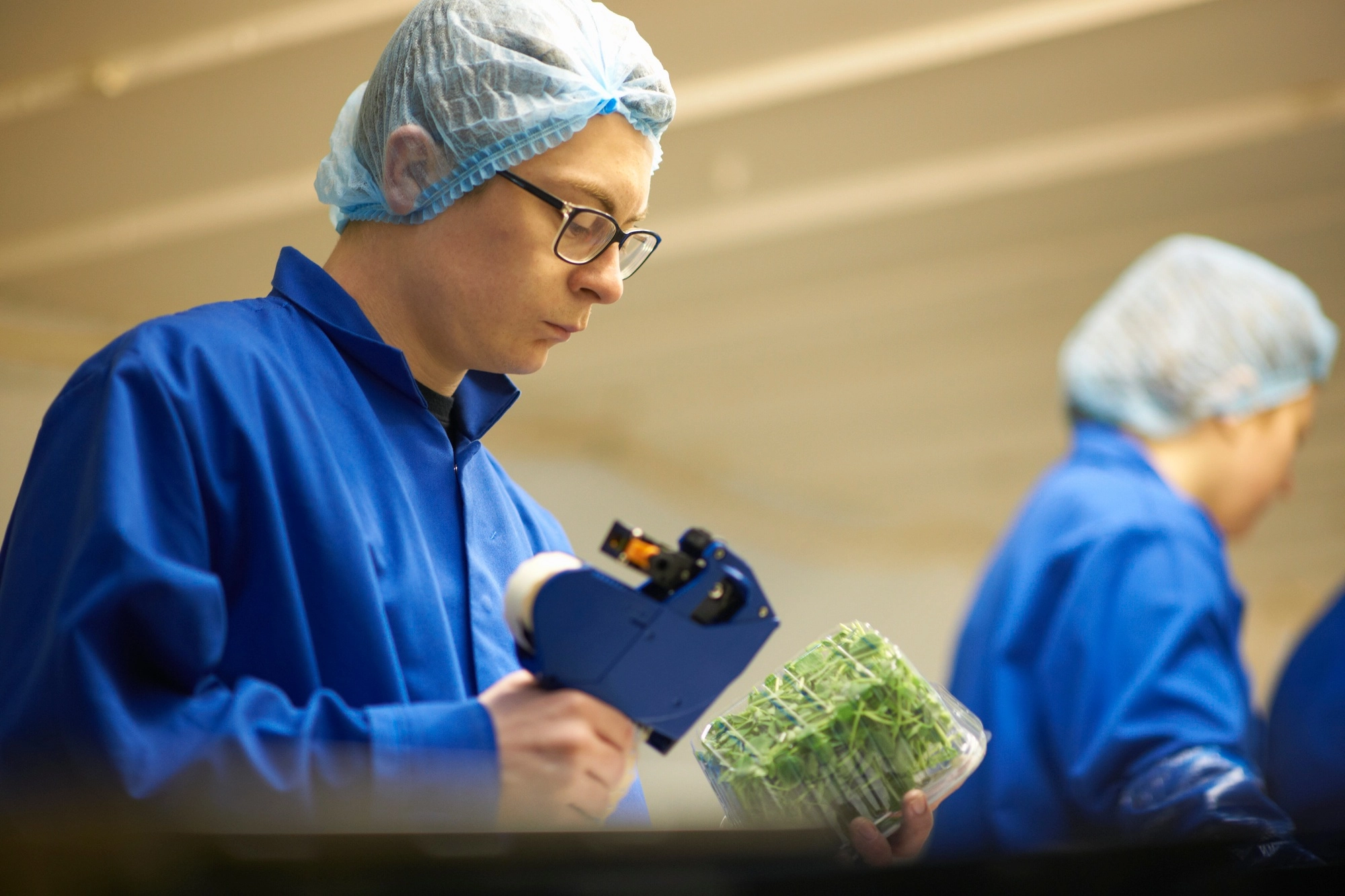 Man wearing hair net on production line using price gun