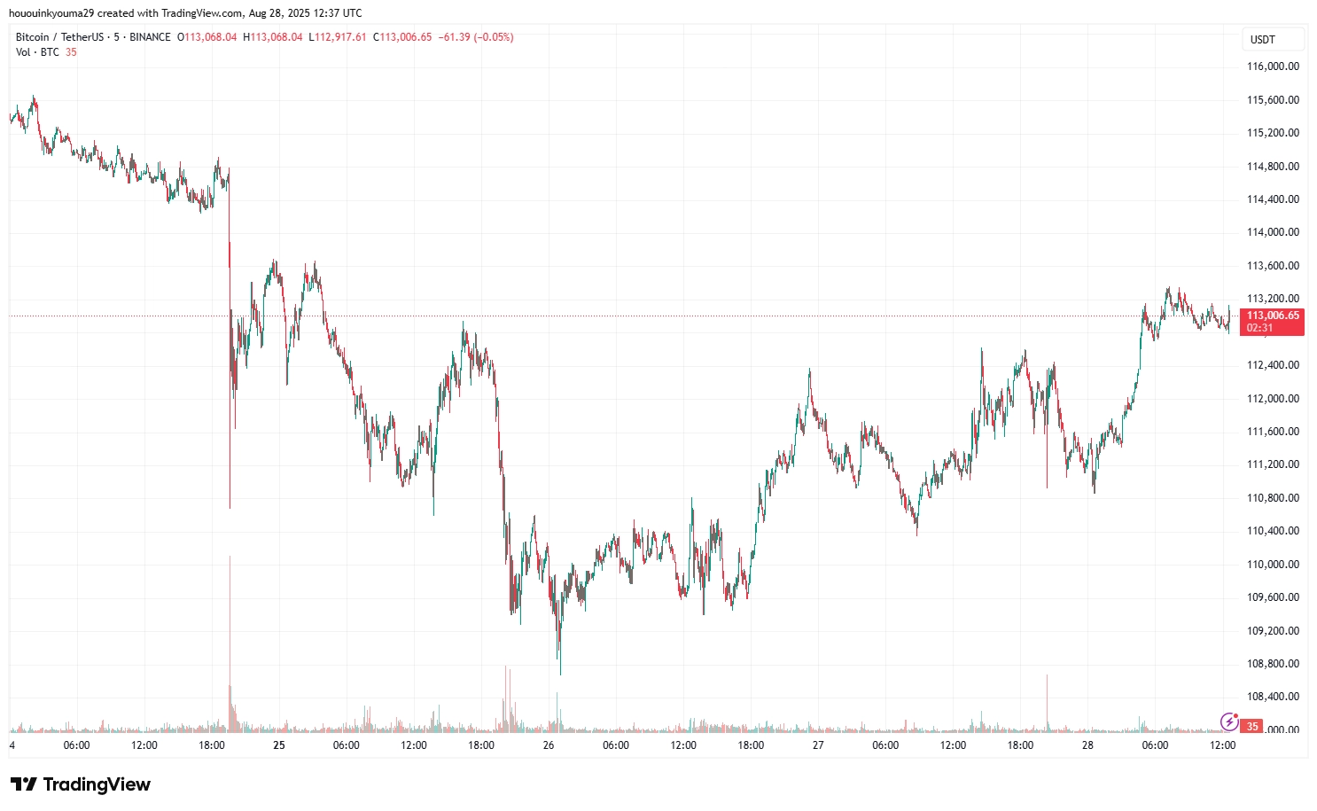 Bitcoin Price Chart