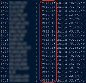 List of vulnerable NetScaler instances