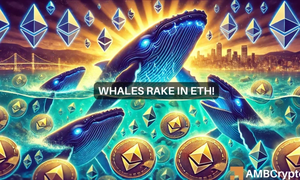 Ethereum: Is NOW the best time to buy? These whale movements say…