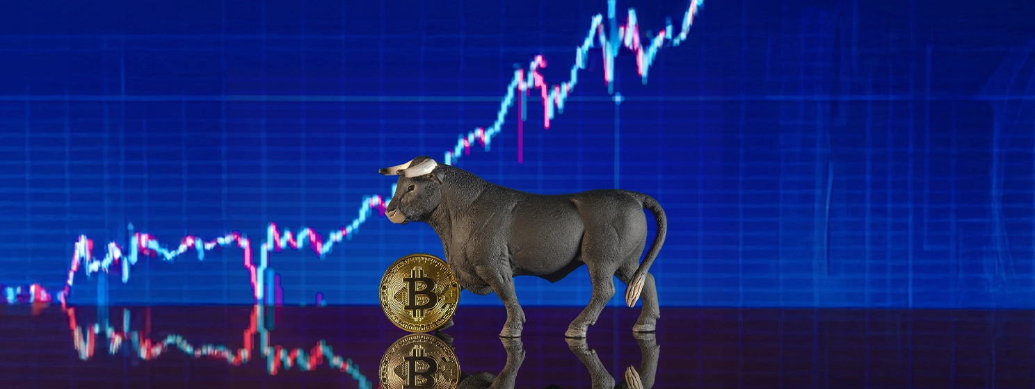 What the BTC bulls won’t tell you