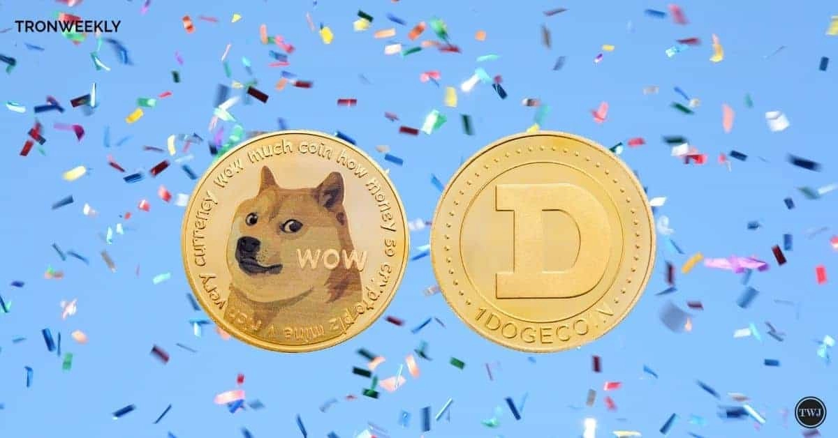 Dogecoin Could Soar 9,000% Despite Recent Setback