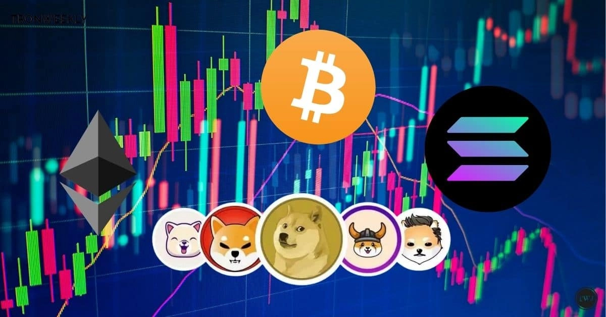 Binance Memecoin Picks Soar in 2024, $NEIRO Leads with 7594% Gain