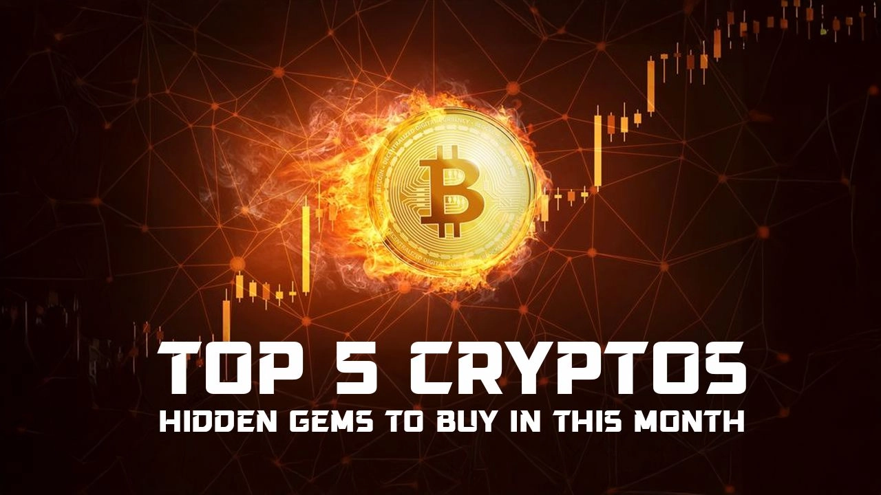 What Are The 5 Best Crypto Coins to Buy in December 2024?