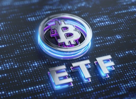 US Spot Bitcoin ETFs Flip Nakamoto To Become Largest BTC Holder, Here’s How Much They’ve Bought