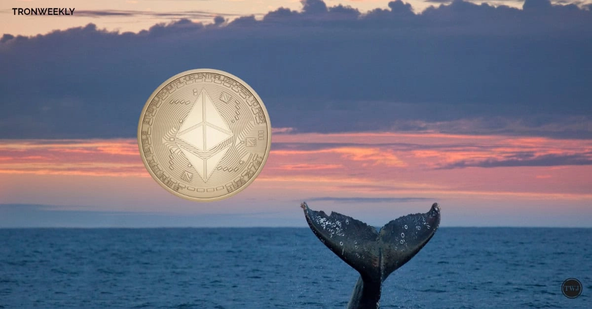 Ethereum Whale Nets Incredible Gains from $19M $AERO, $PEPE and $FTM Purchases