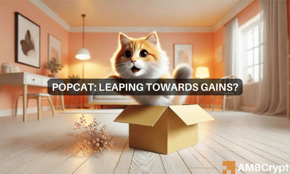 POPCAT defies crypto market trends – Can the memecoin rally 25% next?