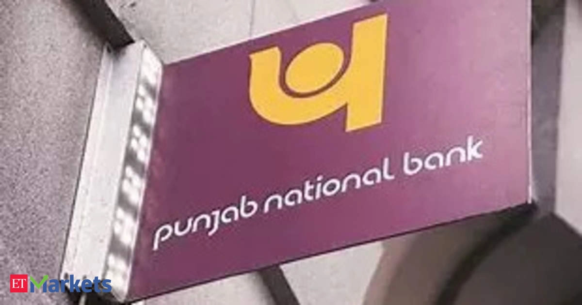 PNB issues Rs 3,000 crore worth of bonds to 14 allottees