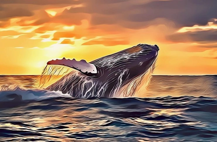 Massive Whale Movement Hints at Institutional Confidence in Solana as Galaxy Digital Rotates from ETH to SOL