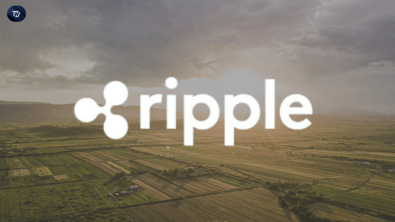 Ripple and Mercy Corps Ventures Launch Blockchain Pilot for Colombian Farmers