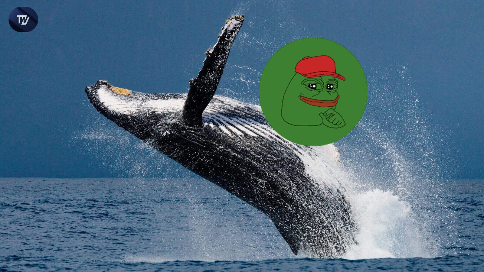 Massive PEPE Whale Transfer Sparks 11% Crash—Is a Sell-Off Looming?