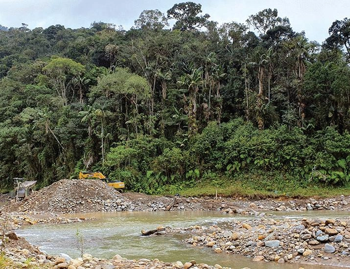 Unlock Exclusive Insights on Illegal Mining: Organized Crime and Ecocide