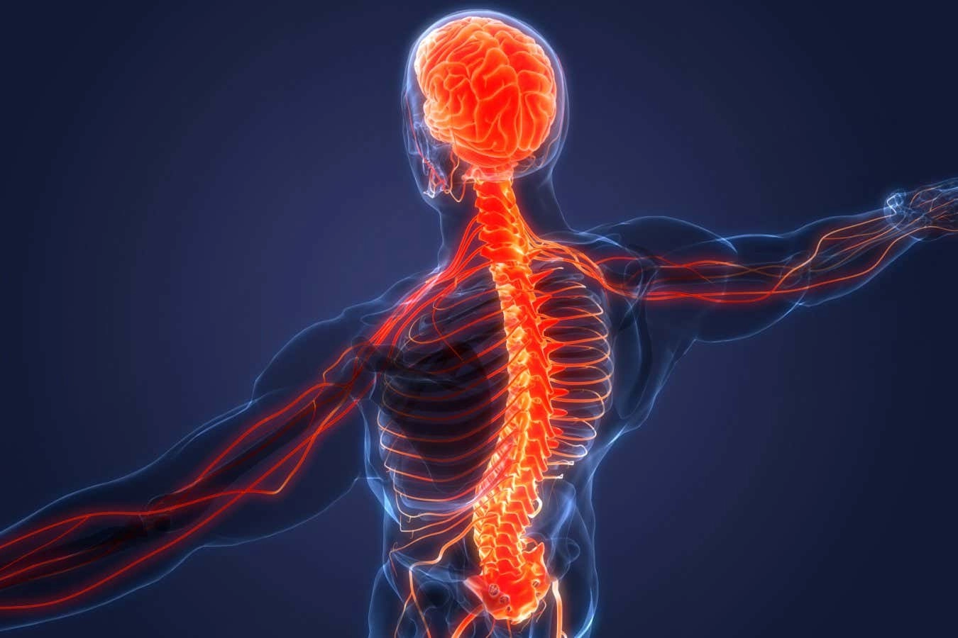 Revolutionizing Cancer Treatment: The Rise of Cancer Neuroscience