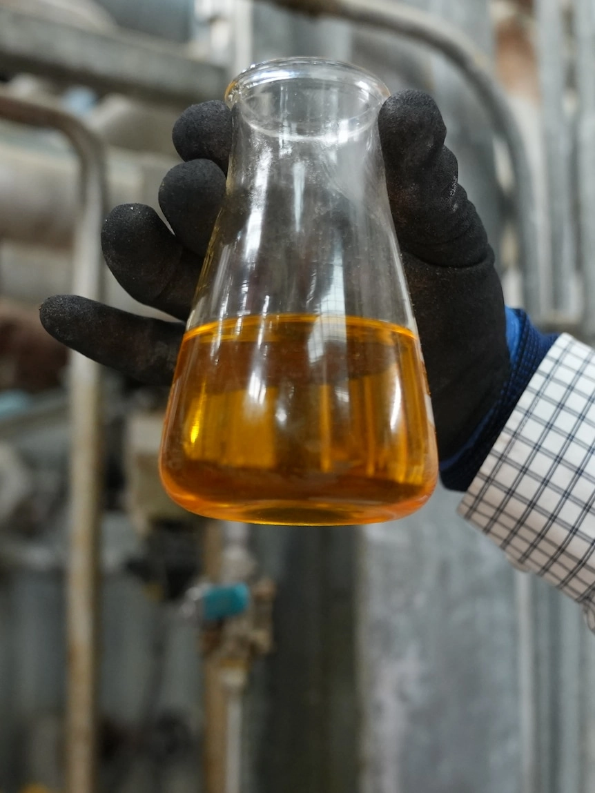 Canola to Jet Fuel: Australian Farmers Pioneering Low-Carbon Aviation Solution