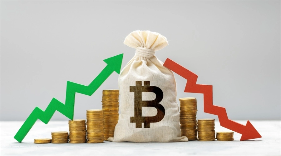 Bitcoin Price Surge: BTC Trades Near $106,600, Experts Predict Future Growth