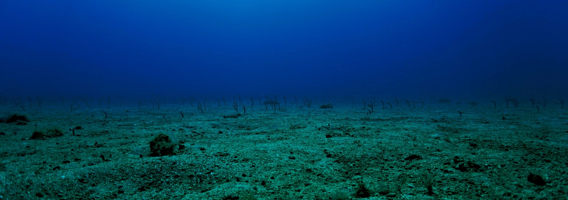 2025 Seabed Mining Battles: New Zealand's Environmental Dilemma Unveiled