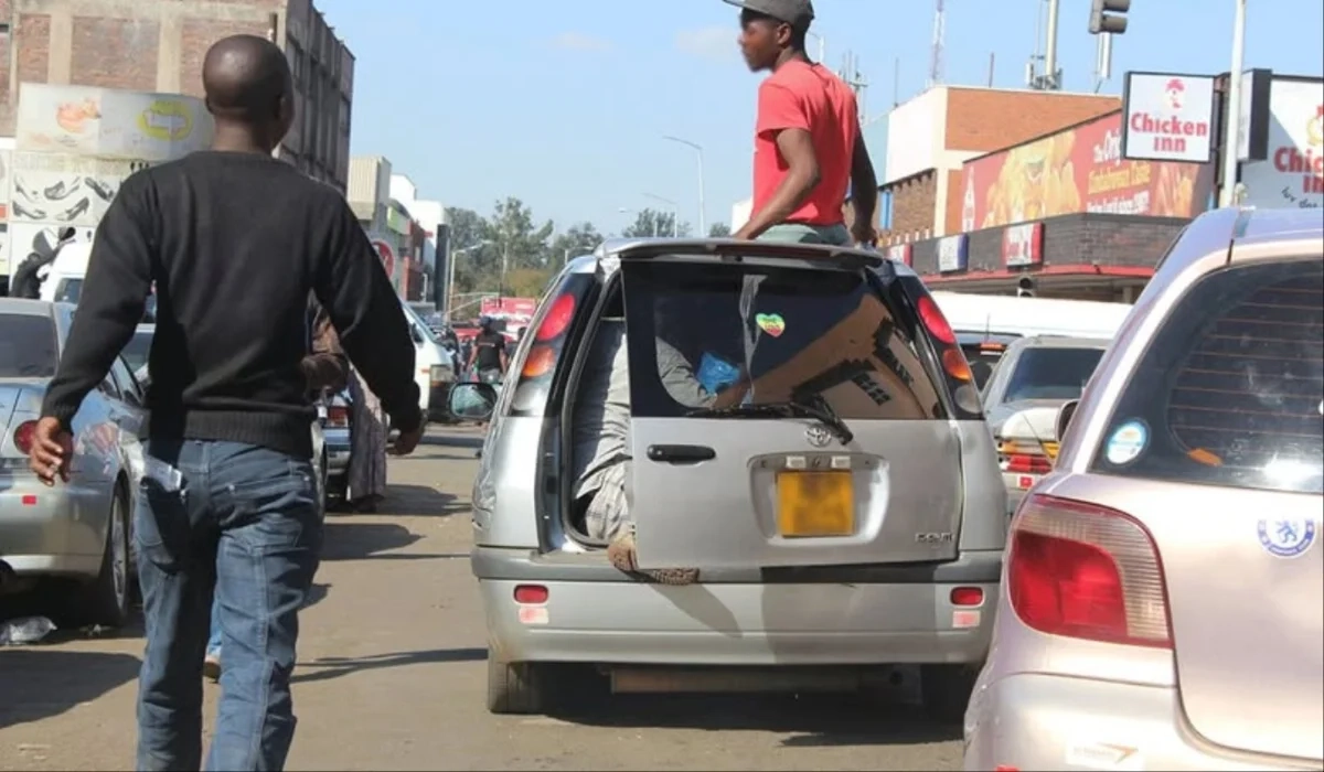 Zimbabwe Urged to Halt Mushika-Shika Operations for Public Safety
