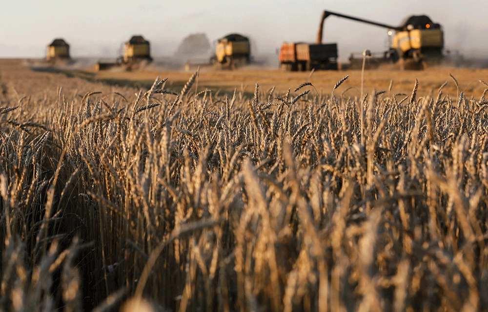 2025-26 Global Grain and Oilseed Production Outlook: Optimistic Forecast by USDA