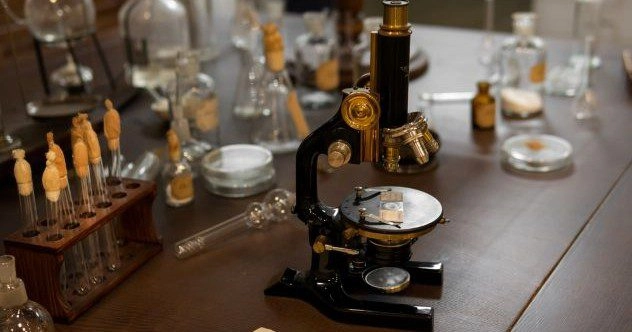 Unveiling Biology's Top 10 Pivotal Moments: From Da Vinci's Anatomy to Microbial Discoveries
