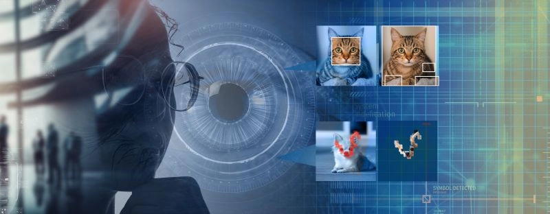 Revolutionizing AI Perception: Play Click Me Game to Shape Human-Aligned Systems