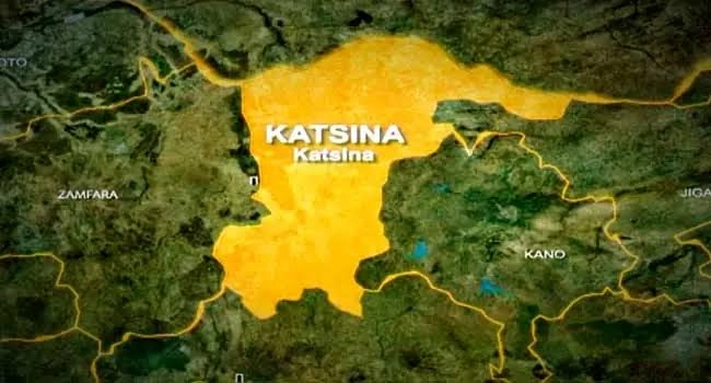 12 Bandits Neutralized in Katsina State: Stolen Livestock Recovered
