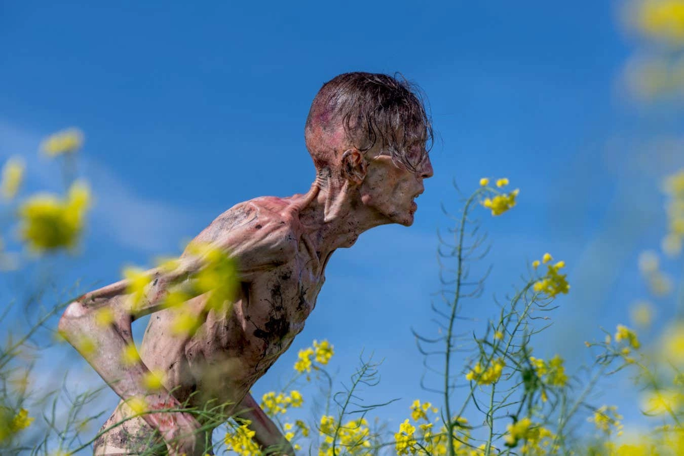 28 Years Later: A Complicated Human Story in a World of Horror