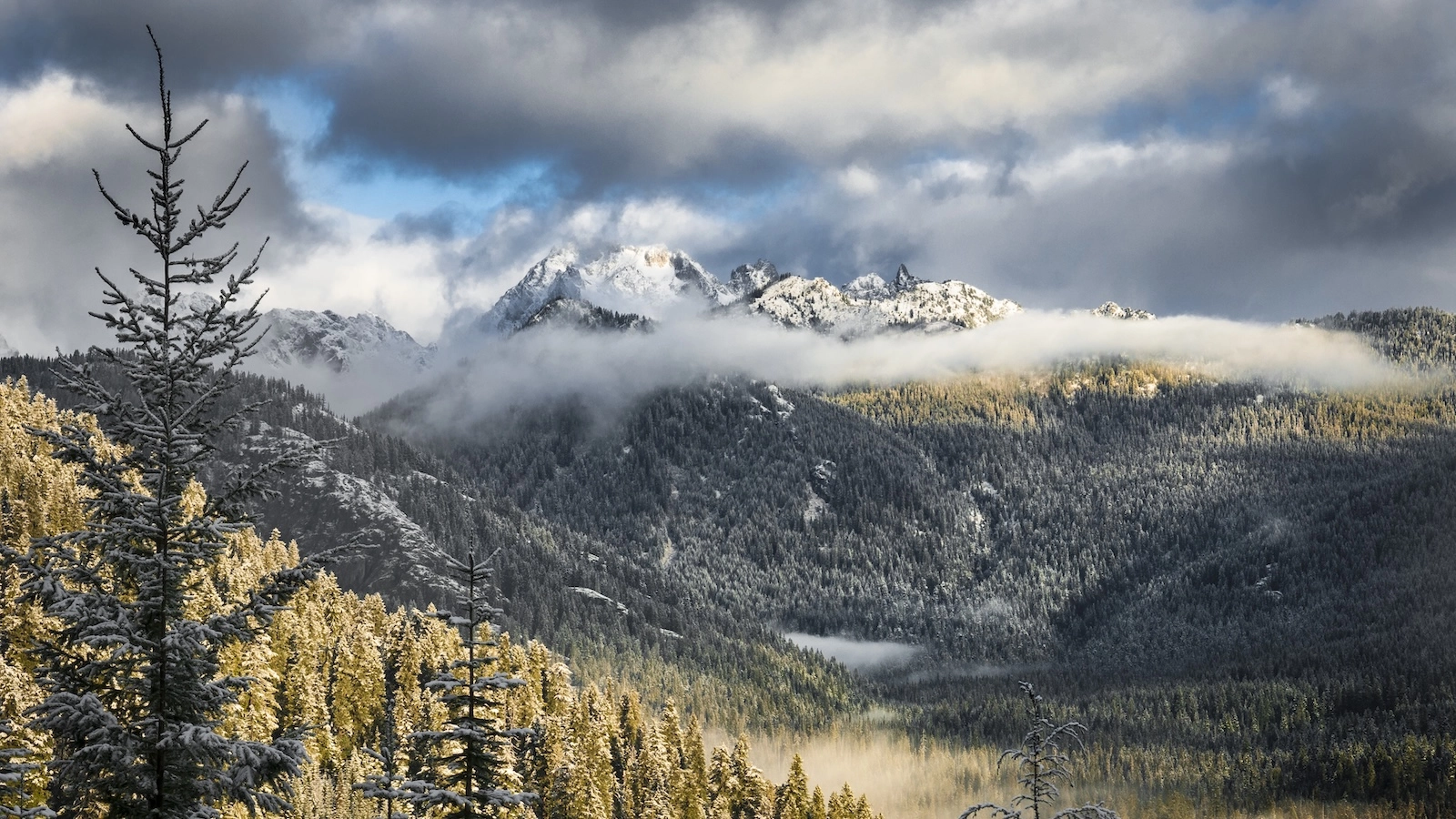 Controversial Senate Proposal: Selling Public Lands for Housing Development