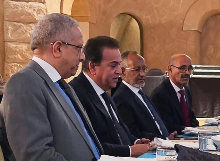 Egypt's Health Minister Highlights Importance of Health Partnerships in Africa
