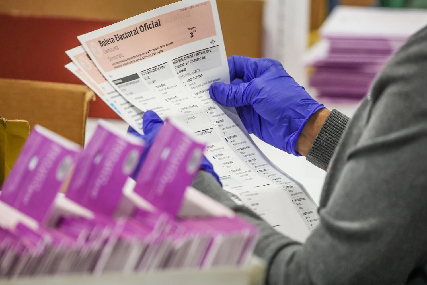 California Voters Overwhelmingly Support Translated Ballots, New Poll Reveals
