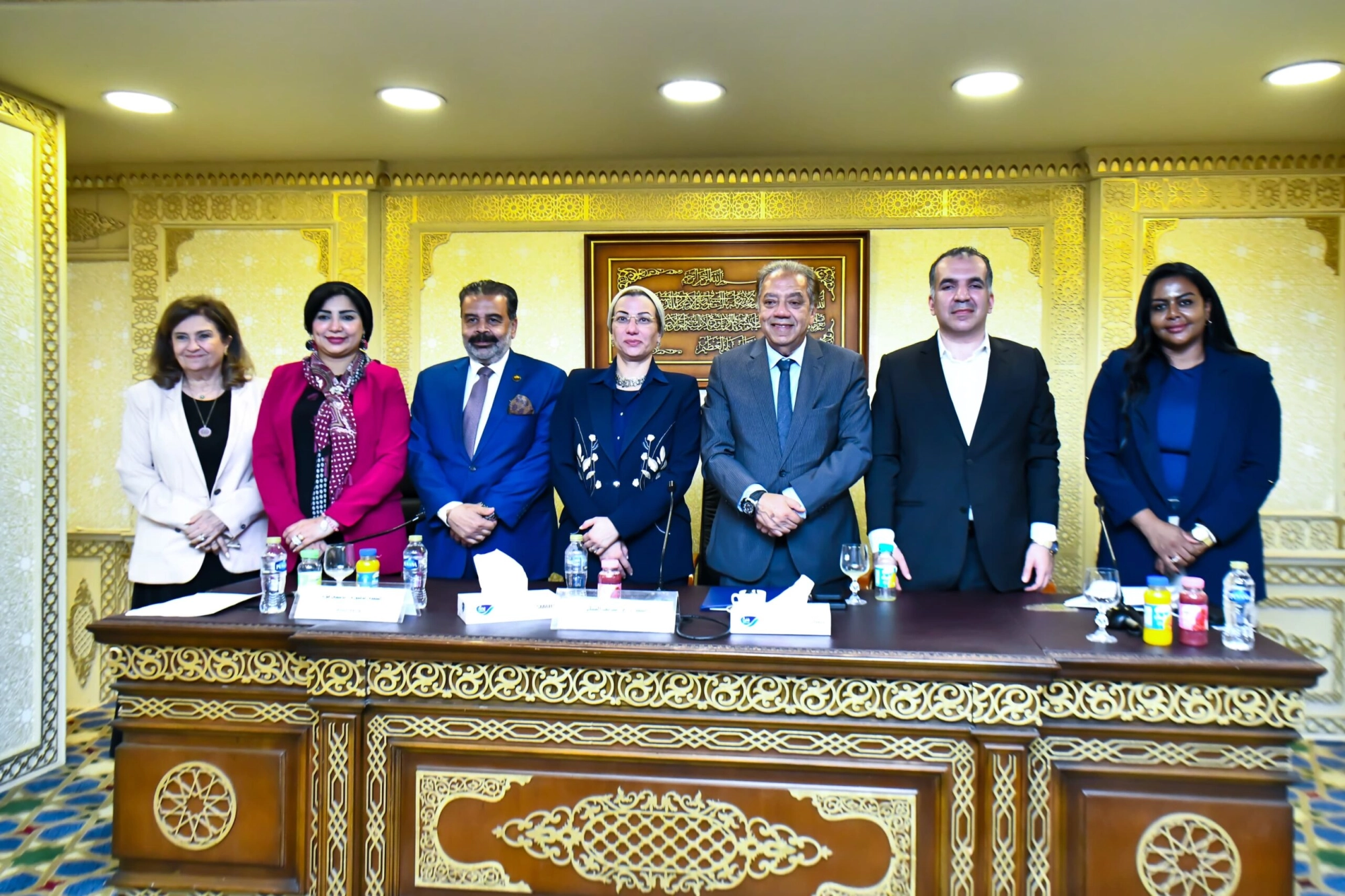 Egypt's Minister of Environment Urges Regional Climate Action and Investment