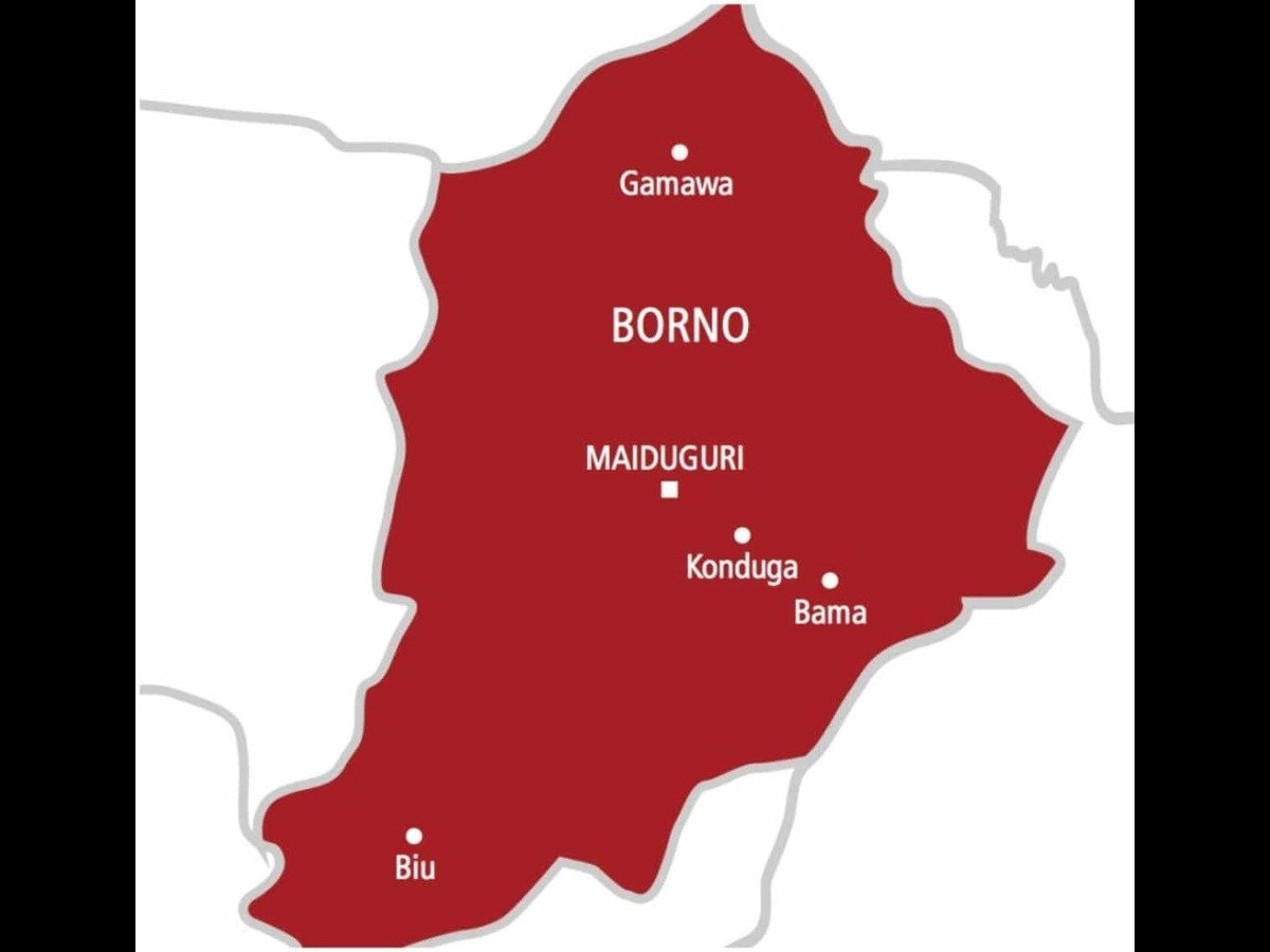 Federal Government Pledges Support to Address Food Security Challenges in Borno