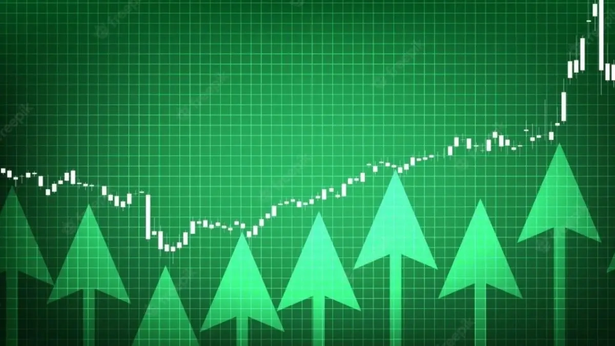 Natco Pharma Leads Nifty Pharma Rally; Torrent Pharma Surges 4% on Acquisition Deal