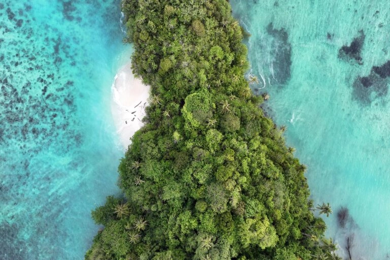 Empowering Community-Based Conservation: WCN's Venture Capital Approach