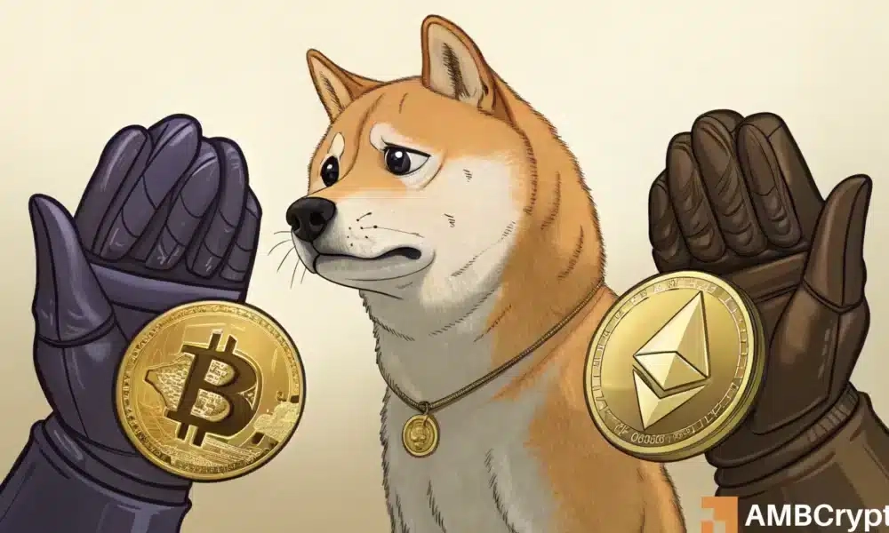 DOGE Losing Edge as BTC and ETH Hold Strong: Profits Dominate Amid Market Divergence