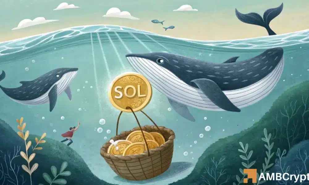 Solana [SOL] Price Analysis: Addresses with 0.1 SOL Balances Hit All-Time High, Rally Imminent