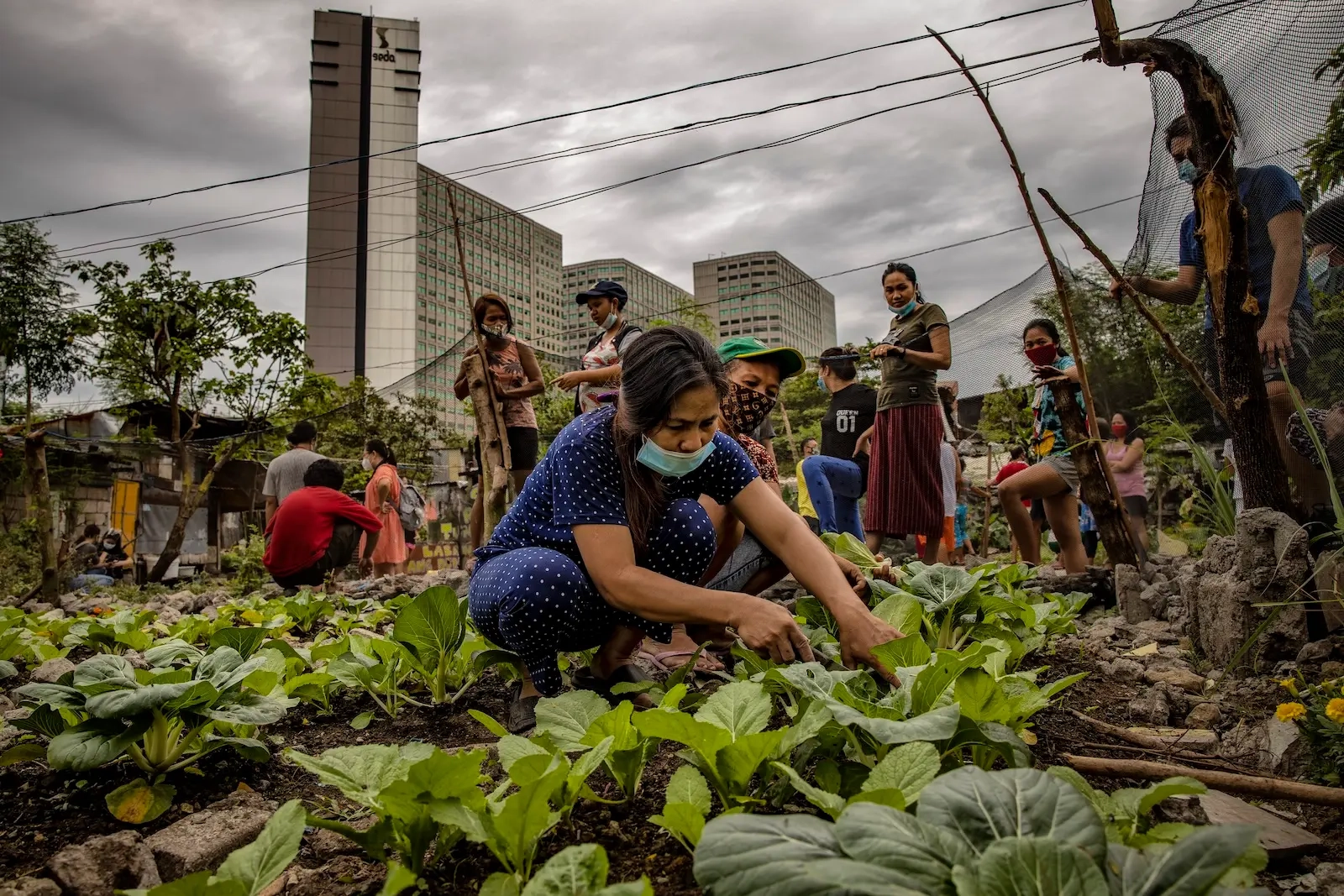 City Mayors Leading the Way in Fighting Climate Change: A Decade of Impact