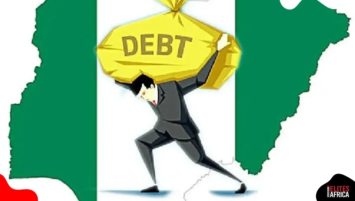 Nigerian States' Debt Crisis: How Borrowing Impacts Everyday Lives