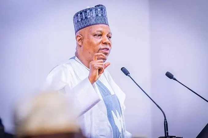 Vice President Shettima Emphasizes Africa's Focus on Poverty and Climate Change Over Nuclear Weapons