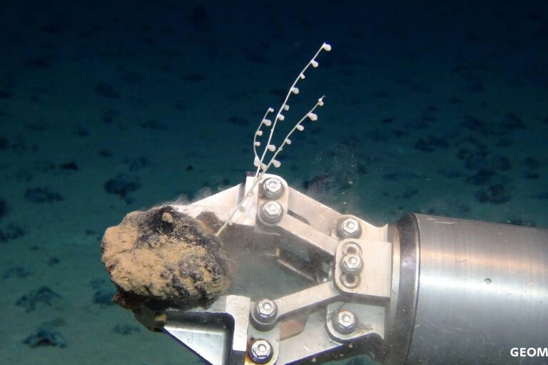 US Accelerates Deep-Sea Mining with New Rule Changes